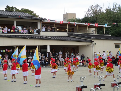 向島幼稚園 最新情報